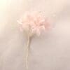 Pale Pink