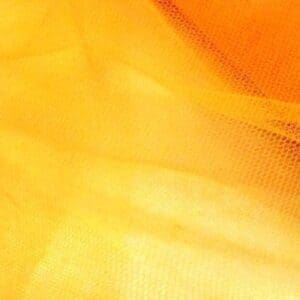 dress net code Heath