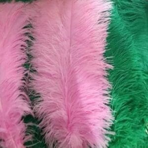 Feathers Large Ostrich