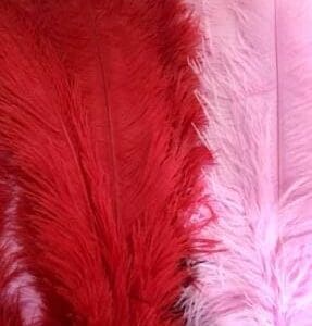 Feathers Large Ostrich