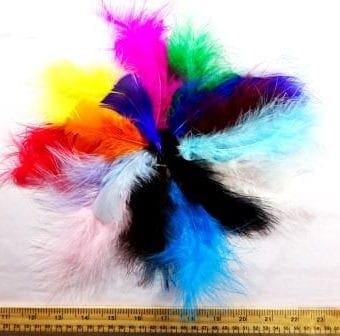 Chick Feathers