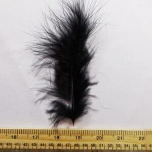 Black Chick Feathers