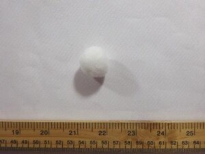 Plain Pom Poms 2cm White