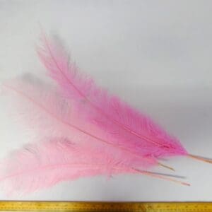 Large Ostrich Feathers Pale Pink