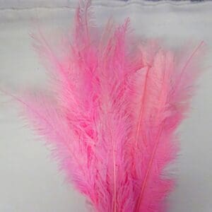 Large Ostrich Feathers Pale Pink