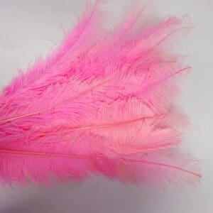 Large Ostrich Feathers Pale Pink