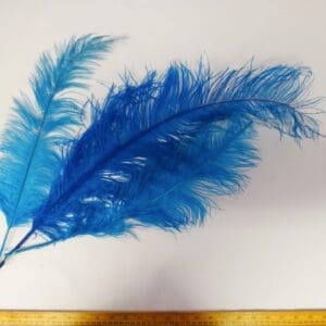 Large Ostrich Feathers Turquoise
