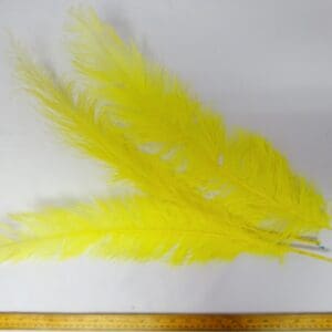 Large Ostrich Feathers Yellow