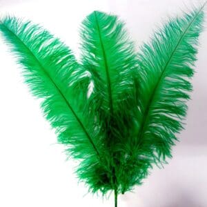 Large Ostrich Feathers Emerald