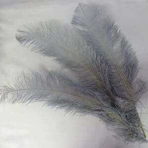 Large Ostrich Feathers Silver