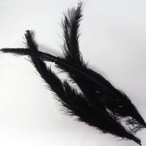 Large Ostrich Feathers Black