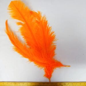 Large Ostrich Feathers Orange