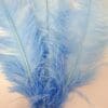 Pale Blue