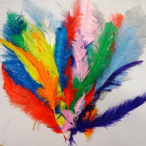 Large Ostrich Feathers