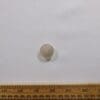 24mm shank button