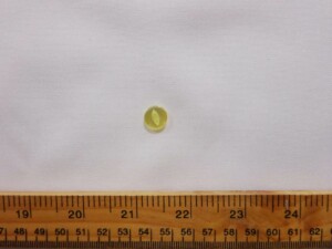 Fisheye Button 10mm Lemon Code Jam