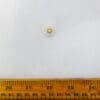 Buttons 15mm Small White With Gold Centre Code Jam