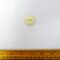 Button Flaxy Waxy Cream 25mm Code Jam