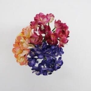 Flower Crocus Blossom Bunch 2150