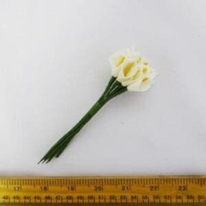 Flower 1546 Calla Lily Small White