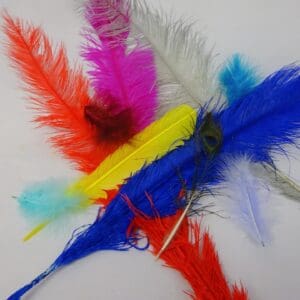 Feathers