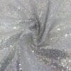Silver Hologram