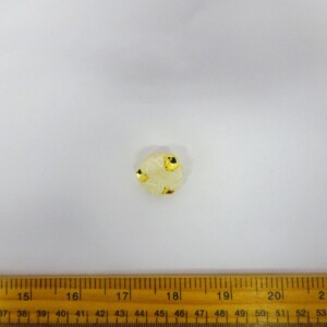 Buttons 25mm Shanked Triple Rose