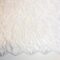 Lace Fabric Bridal Scalloped Cascading Beauty White