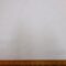 Polyester Cotton Fabric Meringue Flowers White