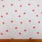 Polyester Cotton Fabric Strawberry Anglais White