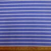Polar Fleece Fabric Spring Stripes Cornflower Blue