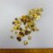 Buttons Large Bag Gold Mixed Size Buttons