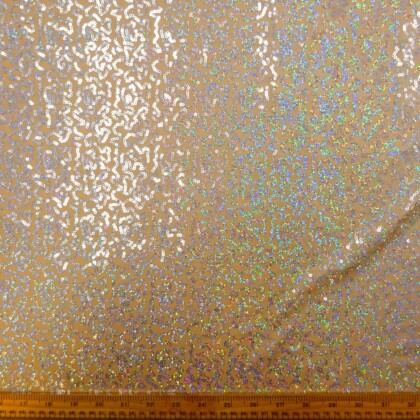 Sequinned Lycra Fabric Nude