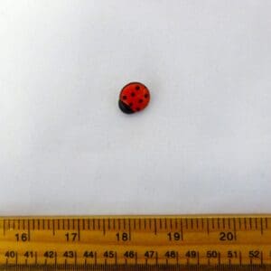 Ladybird Buttons Large Code Nat
