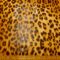 PVC Tabling Fabric Animal Print Leopard