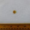 Tiger Eye Buttons 10mm Code Jam