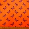 Orange/Cerise