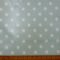 PVC Tabling Fabric Polka Dots Duck Egg Blue