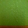 Apple Wicked Green