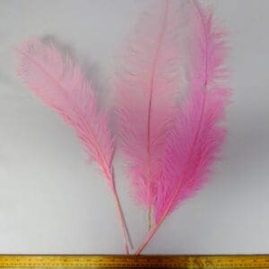 Large Ostrich Feathers Pale Pink