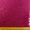 Raspberry