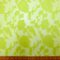 Georgette Fabric Flocked Embroidered Water Rose Lime