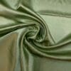 Parsnip Green 81