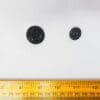 Buttons Shanked Pansy Faceted Black