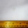 Buttons 10mm Clear 2 Hole Flat