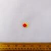 Fish Buttons Shanked Red Yellow
