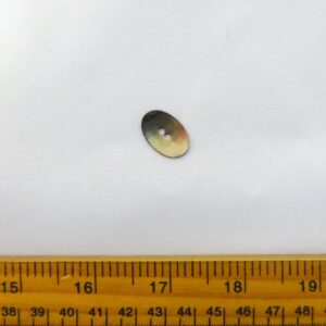 Buttons Noggin Silver Code Jam