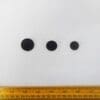 Buttons Climbing Rose Shanked Code Nat Black