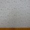 Linen Look Fabric Suiting Light Weight Sprig Cluster Muesli Beige