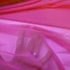 Cerise